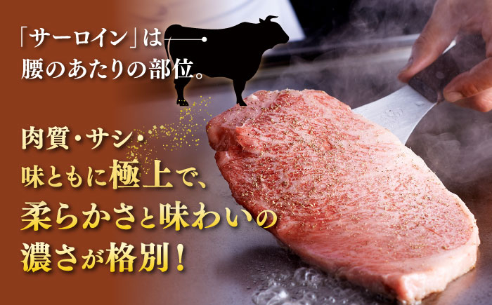 サーロイン ステーキ ロース シャトーブリアン 食べ比べ 牛肉 肉