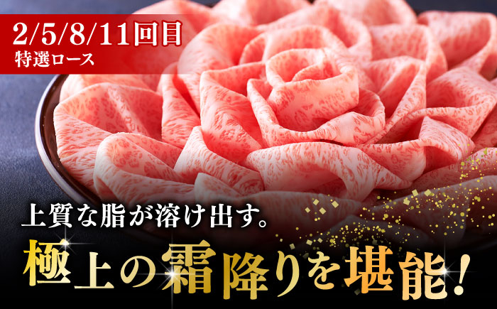サーロイン ステーキ ロース シャトーブリアン 食べ比べ 牛肉 肉
