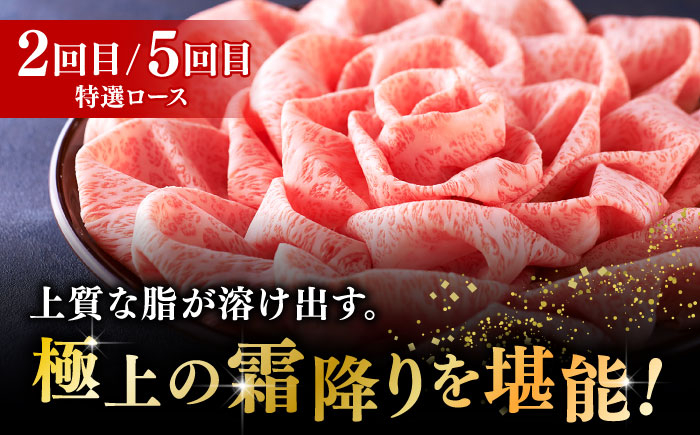 サーロイン ステーキ ロース シャトーブリアン 食べ比べ 牛肉 肉