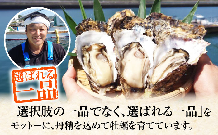 牡蠣 むき身 お茶漬け 茶漬け 牡蠣めし カキめし セット 広島牡蠣