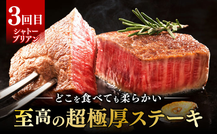 サーロイン ステーキ ロース シャトーブリアン 食べ比べ 牛肉 肉