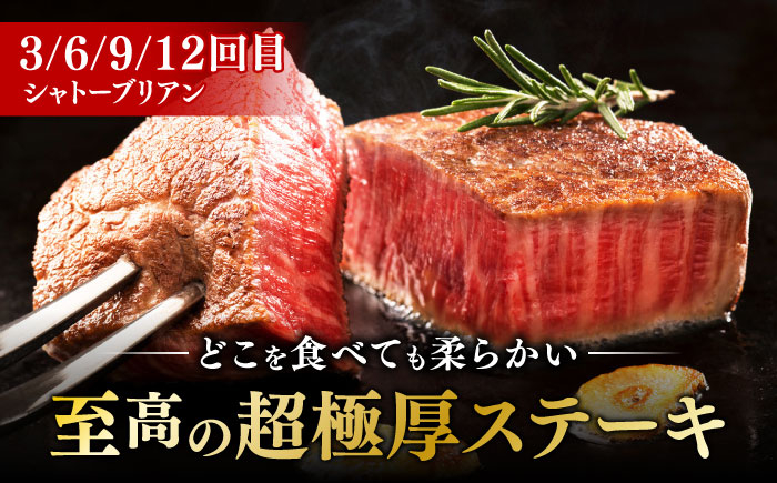 サーロイン ステーキ ロース シャトーブリアン 食べ比べ 牛肉 肉