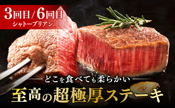 サーロイン ステーキ ロース シャトーブリアン 食べ比べ 牛肉 肉