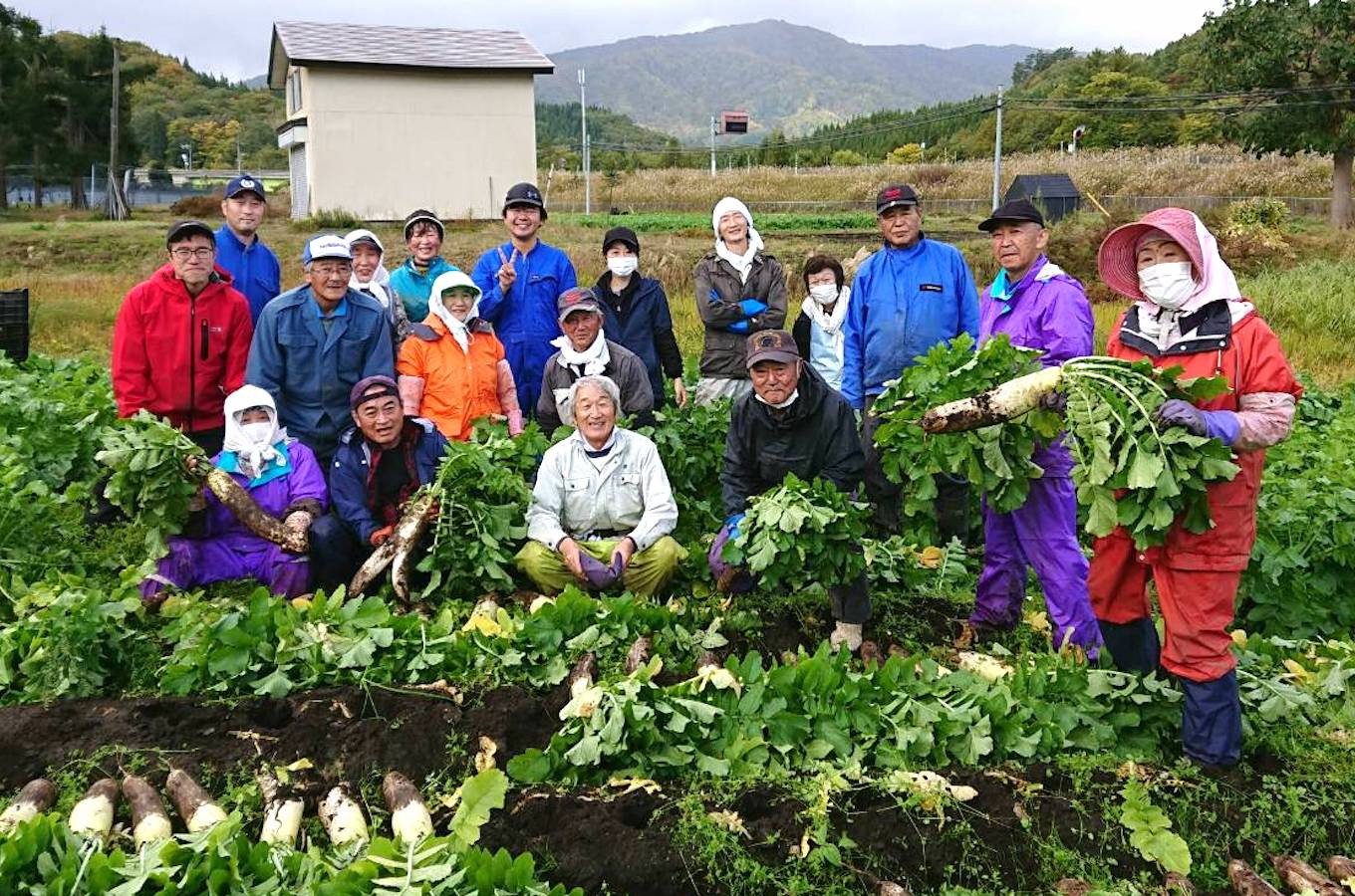 地域で丁寧に育てた大根を一本漬けに使っています
