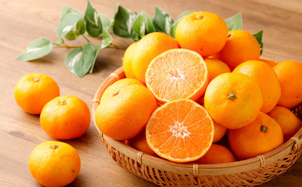 熊本県産みかん BUSAIKU MIKAN 7kg