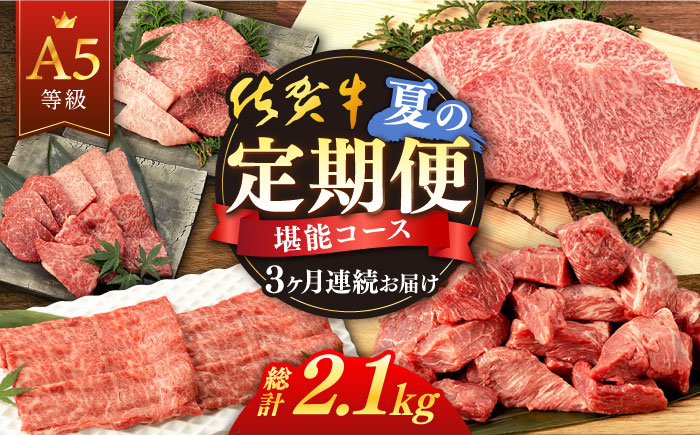 佐賀牛 牛肉 佐賀県産 黒毛和牛 定期便 