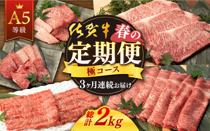 佐賀牛 牛肉 佐賀県産 黒毛和牛 定期便 3回