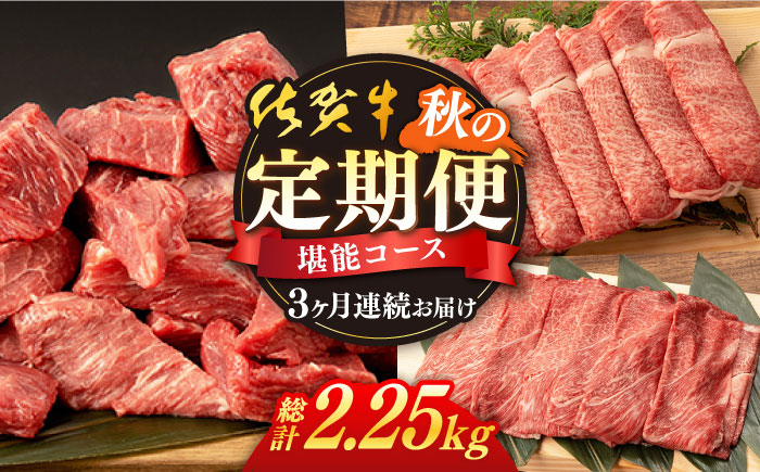 佐賀牛 牛肉 佐賀県産 黒毛和牛 定期便 
