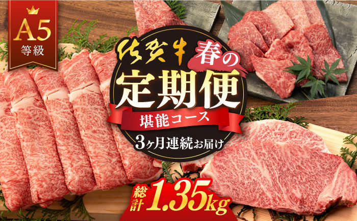 佐賀牛 牛肉 佐賀県産 黒毛和牛 定期便 