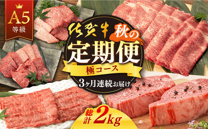 佐賀牛 牛肉 佐賀県産 黒毛和牛 定期便 