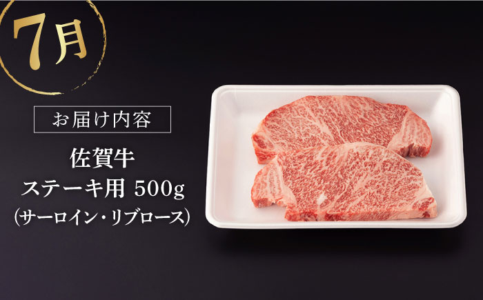 佐賀牛 牛肉 佐賀県産 黒毛和牛 定期便 