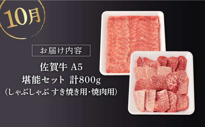 佐賀牛 牛肉 佐賀県産 黒毛和牛 定期便 
