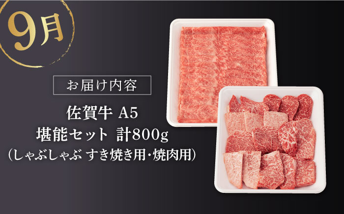 佐賀牛 牛肉 佐賀県産 黒毛和牛 定期便 