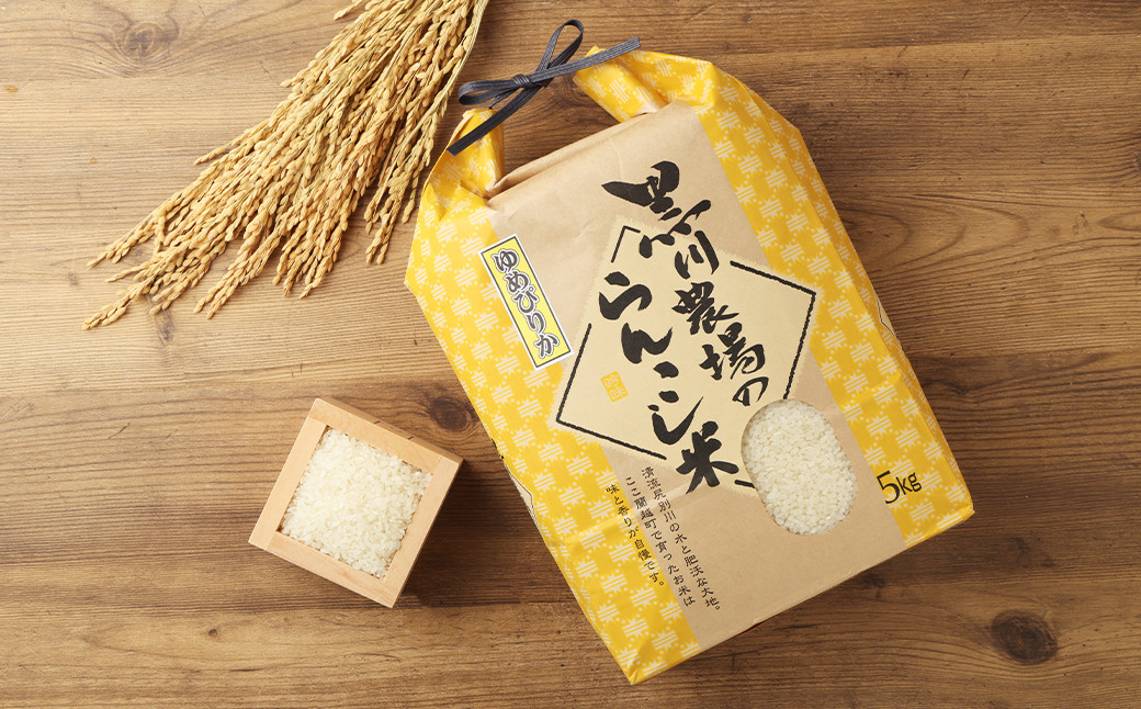 【3ヶ月定期便】らんこし米（ゆめぴりか）5kg（黒川農場）