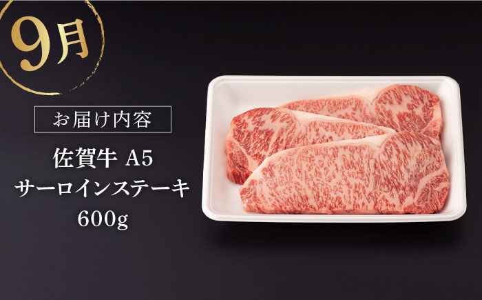 佐賀牛 牛肉 佐賀県産 黒毛和牛 定期便 