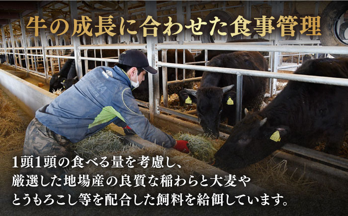 佐賀牛 牛肉 佐賀県産 黒毛和牛 定期便