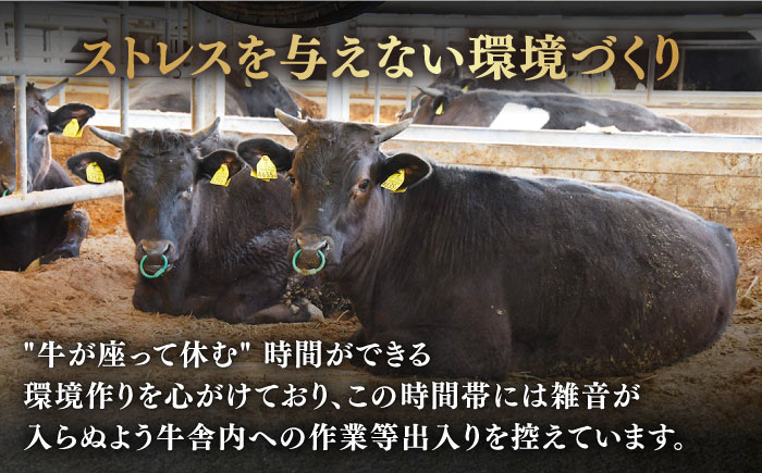 佐賀牛 牛肉 佐賀県産 黒毛和牛 定期便 
