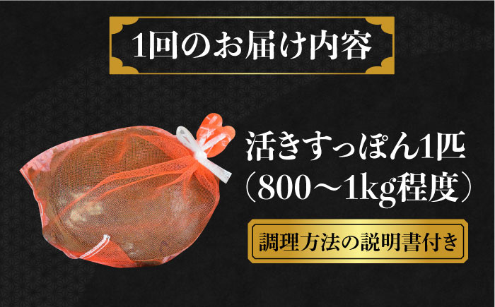 すっぽん スッポン コラーゲン 珍味 海鮮 魚介類 鍋 ナベ なべ セット