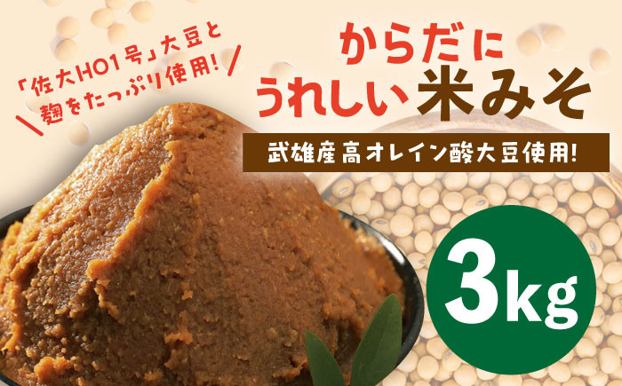 【米の甘味が広がるヘルシーお味噌】 からだにうれしい 米味噌 3kg （高オレイン酸大豆使用・佐賀県産さがびより仕込）なるせみそ