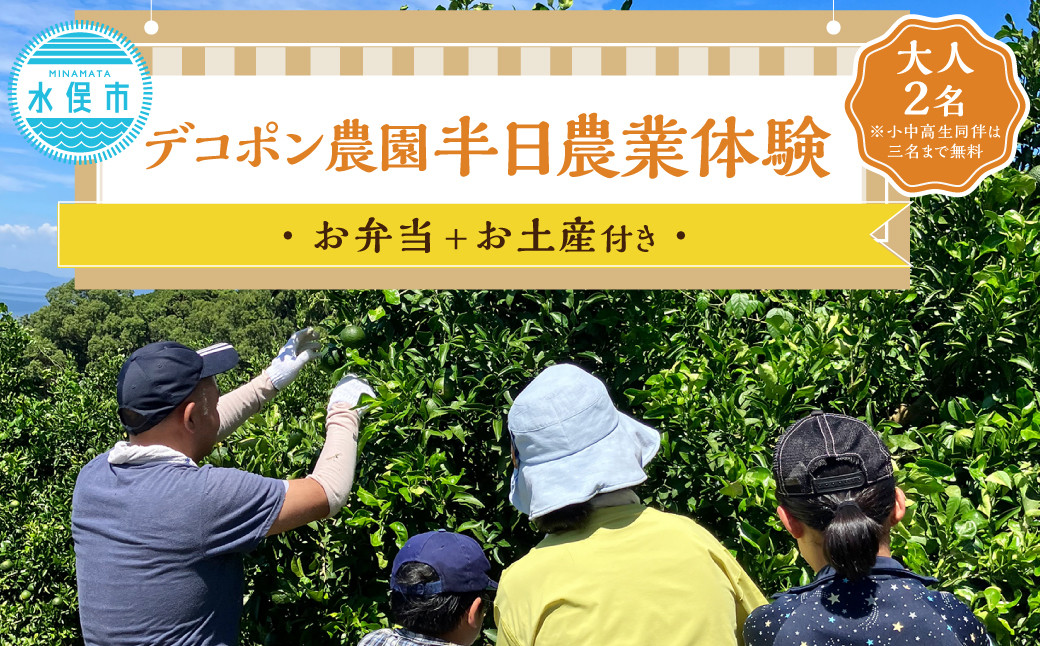 デコポン農園農業体験