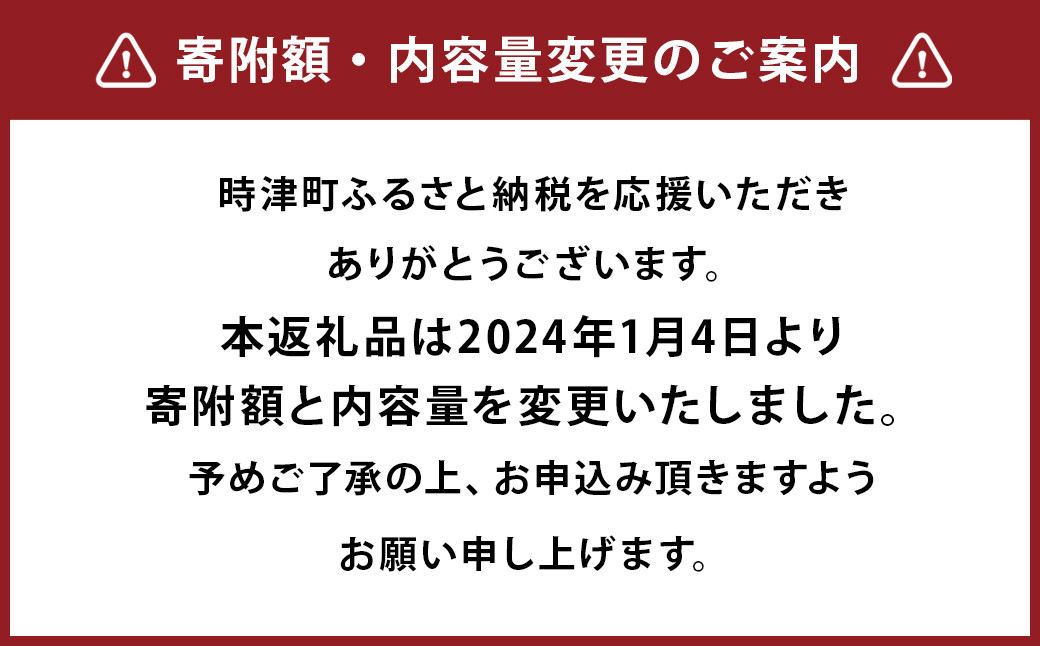 長崎伝承 角煮家こじまの角煮まんじゅう 10個入り