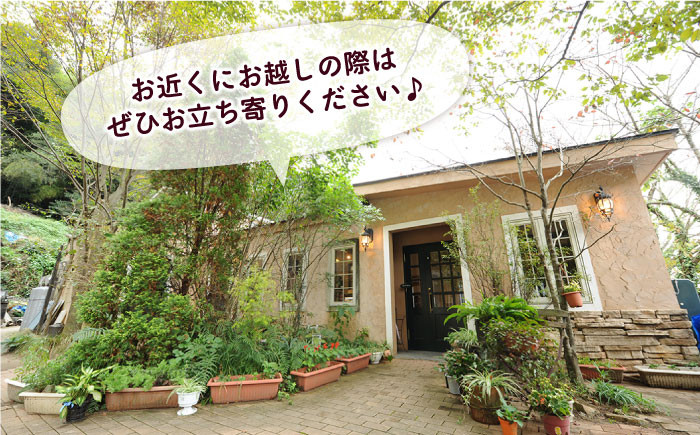生姜焼き 豚小間 味噌漬け 冷凍 焼くだけ 子供も 豚肉 福岡