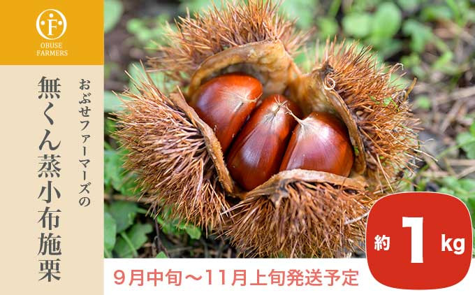 完熟した小布施栗を一粒一粒、丁寧に選んで、大粒の逸品だけを厳選して無くん蒸の状態でお届けします。