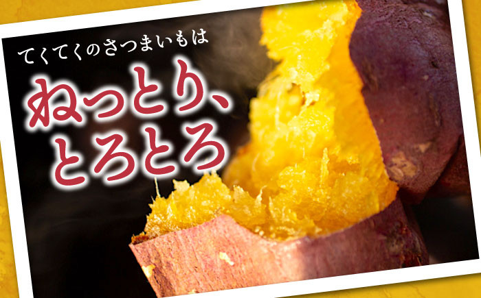 さつまいも 紅はるか 安納芋 芋 サツマイモ やきいも 大学芋 饅頭 焼酎 酒