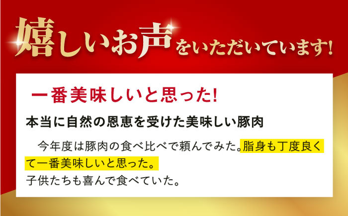 冷凍 豚肉 定期便 ブランド豚 五島美豚 ロース モモ  しゃぶしゃぶ