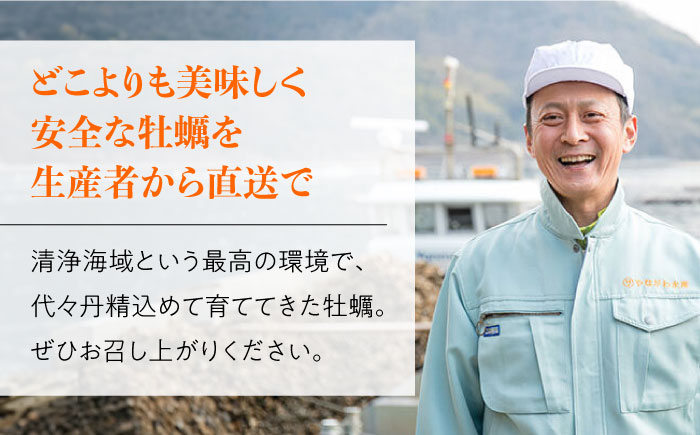 牡蠣 むき身 殻付き かき カキ 生牡蠣 広島牡蠣 オイスター カキフライ