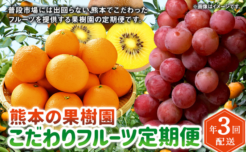 熊本の果樹園こだわりフルーツ定期便