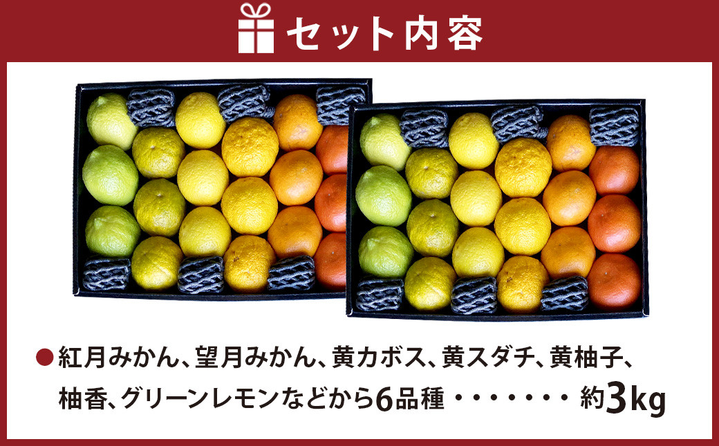 にしだ果樹園の熊本県産月読み果実グラデーションボックス(6品種)