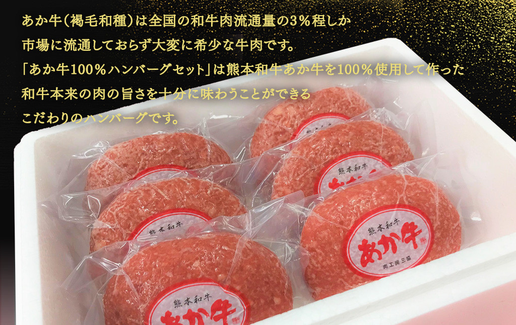 あか牛100%ハンバーグセット 120g×6個 あか牛のたれ200ml付き