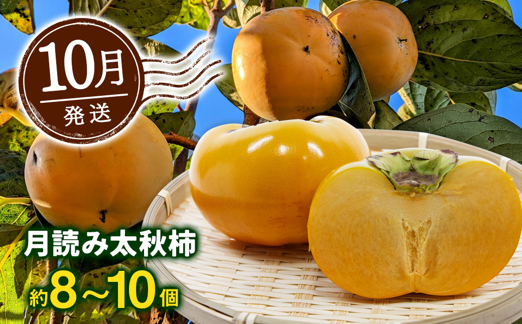 【年4回定期便】にしだ果樹園の熊本県産季節の月読みフルーツ定期便