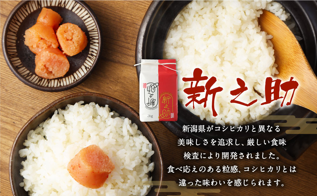 【定期便 12ヶ月】新潟県岩船産 新之助 精米 6kg（2kg×3個セット）