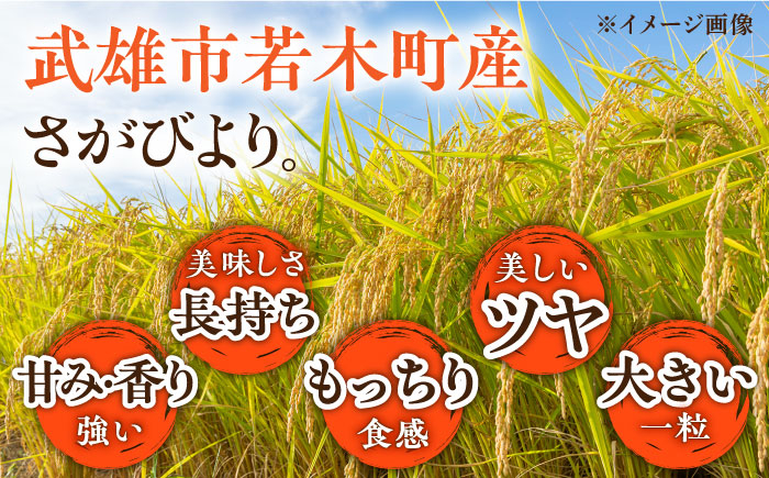 【もっちりツヤツヤの自慢のお米】大楠水車米 さがびより 10kg /若木町まちづくり推進協議会 [UBY003] 米 白米 精米