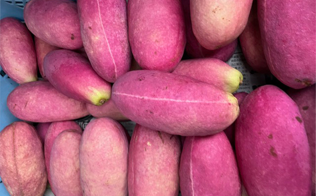 熊本産 あけび 約3kg 10～15玉入り