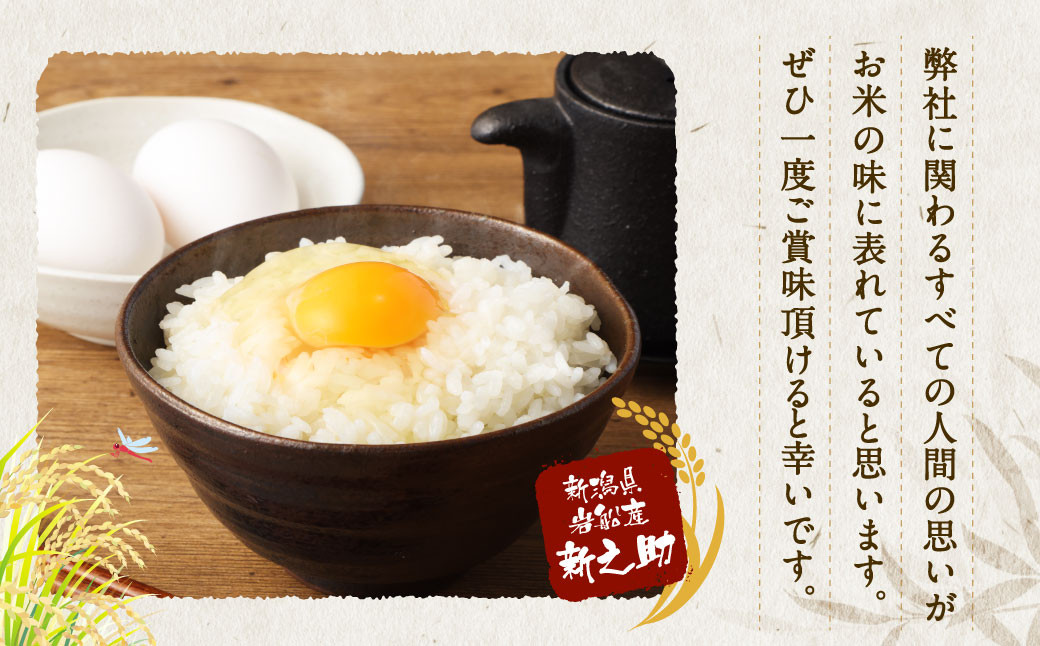 【定期便 3ヶ月】新潟県岩船産 新之助 精米 6kg（2kg×3個セット）