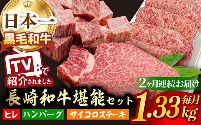 NA59 【全2回定期便】超入手困難！大人気フィレ肉！長崎和牛ヒレステー-1