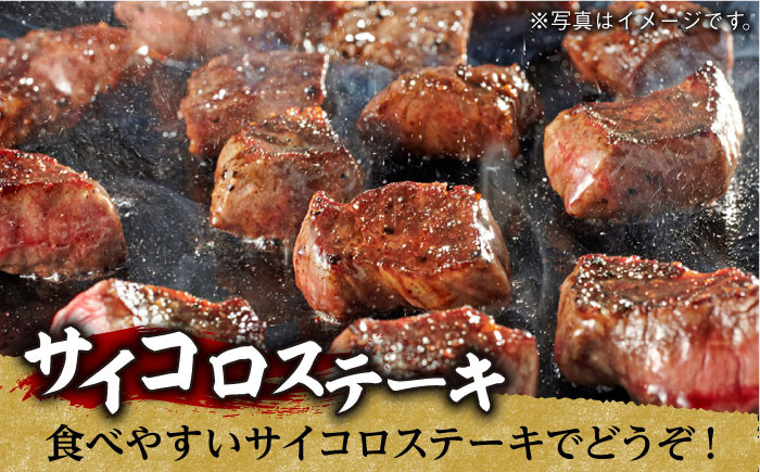 NA59 【全2回定期便】超入手困難！大人気フィレ肉！長崎和牛ヒレステー-6