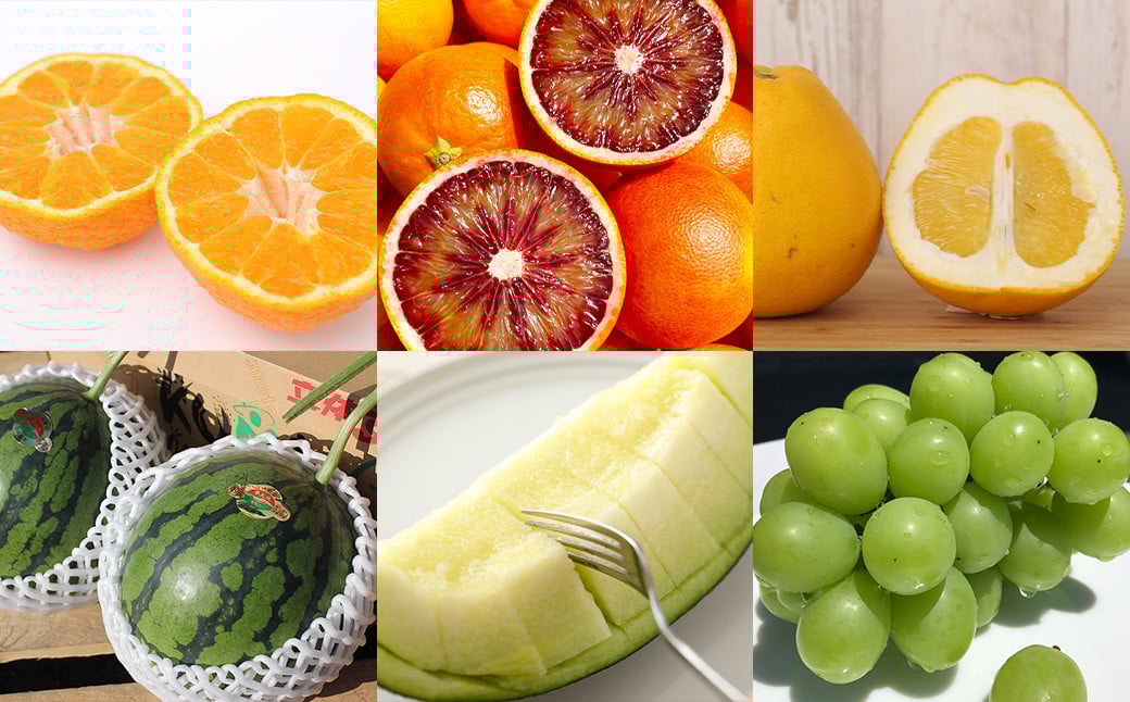熊本産 フルーツ 6か月定期便