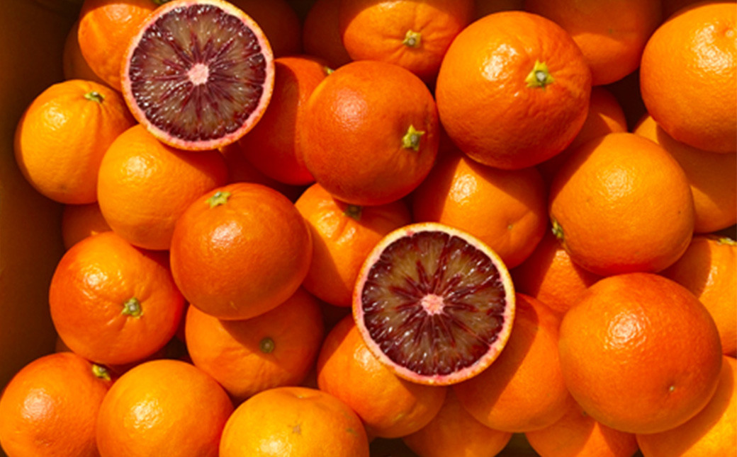 熊本産 フルーツ 6か月定期便