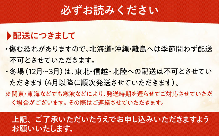 胡蝶蘭 お祝い ギフト 贈答 洋蘭 開店祝い 新店 祝い 白 5本
