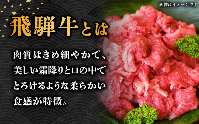3回 定期便 飛騨牛 切り落とし 1kg