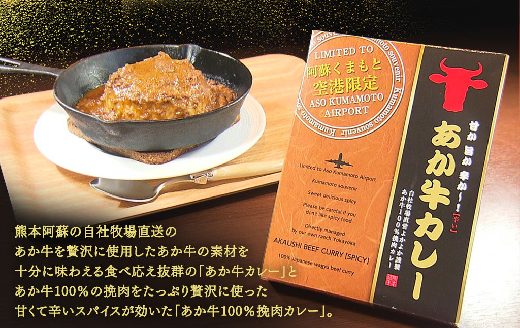 あか牛カレー詰め合わせセット(あか牛カレー180g×2、あか牛100%挽肉カレー220g×2)