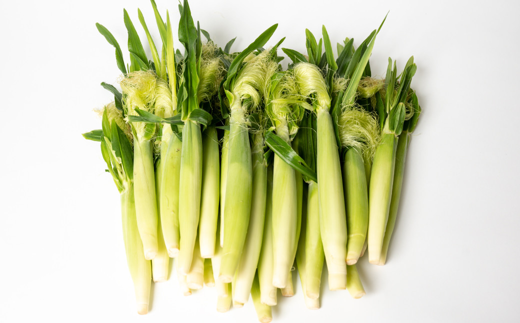 熊本県八代市産のヤングコーンを30本お届けします！