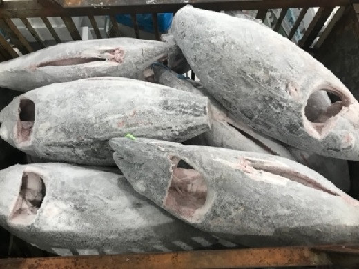 マグロを丸ごと一本仕入れて加工しているヤマトサカナ株式会社ならではの返礼品です。
