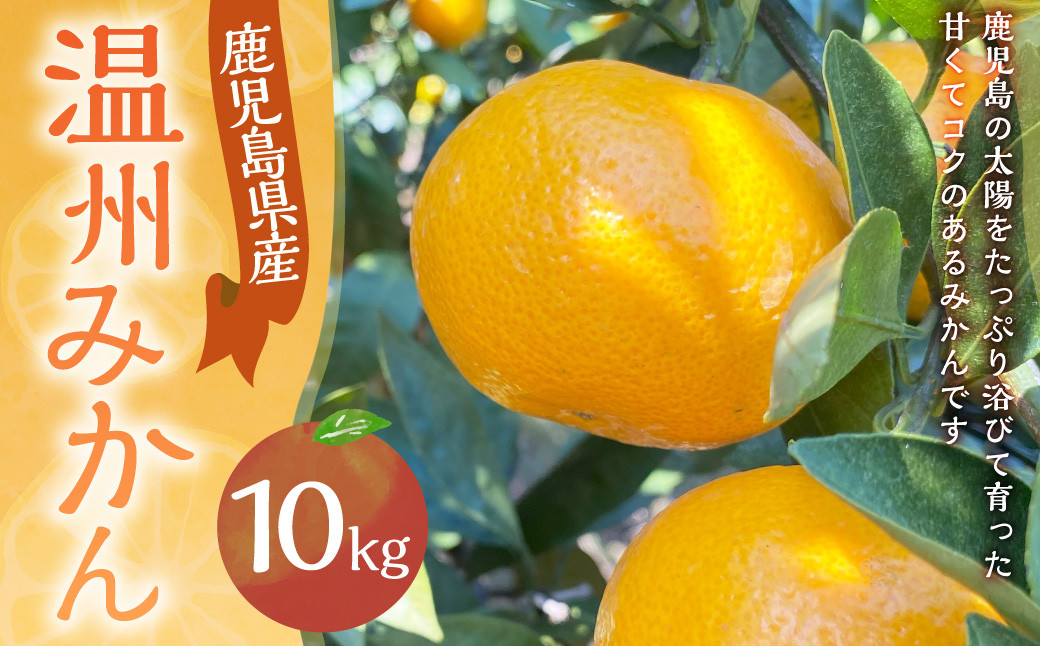 【鹿児島県薩摩川内市産】温州みかん 約10kg