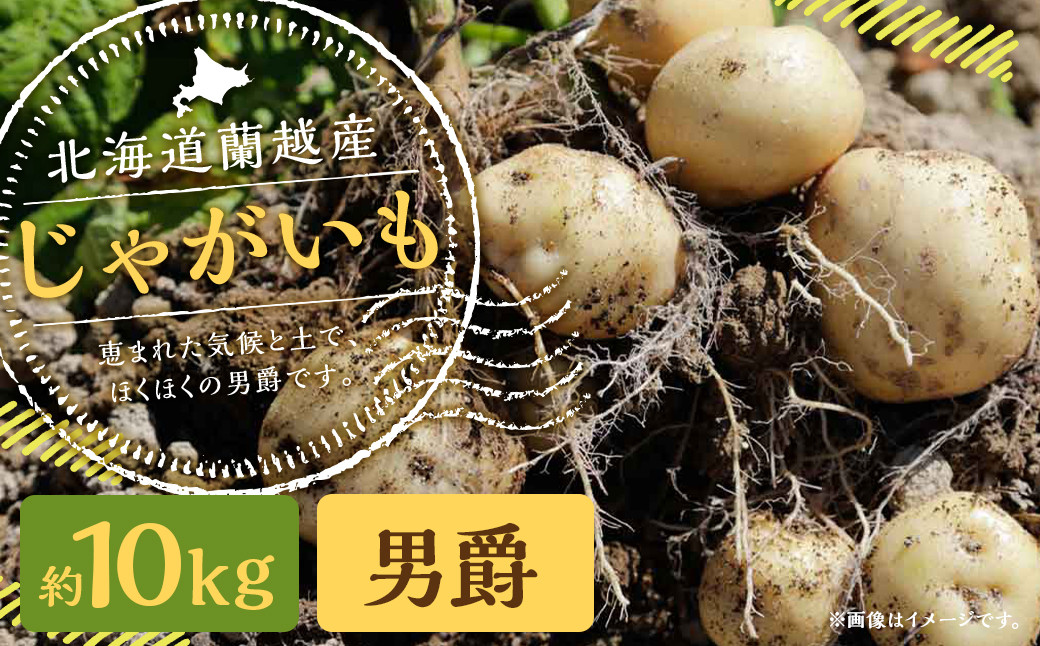 北海道 蘭越産 じゃがいも(男爵) 約10kg