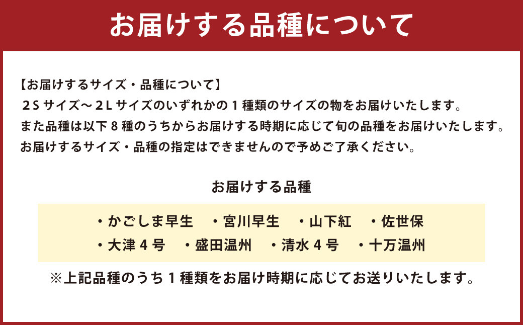 【鹿児島県薩摩川内市産】温州みかん 約5kg